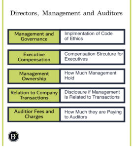 directors-management-auditors-270x300 What is an Annual Report?